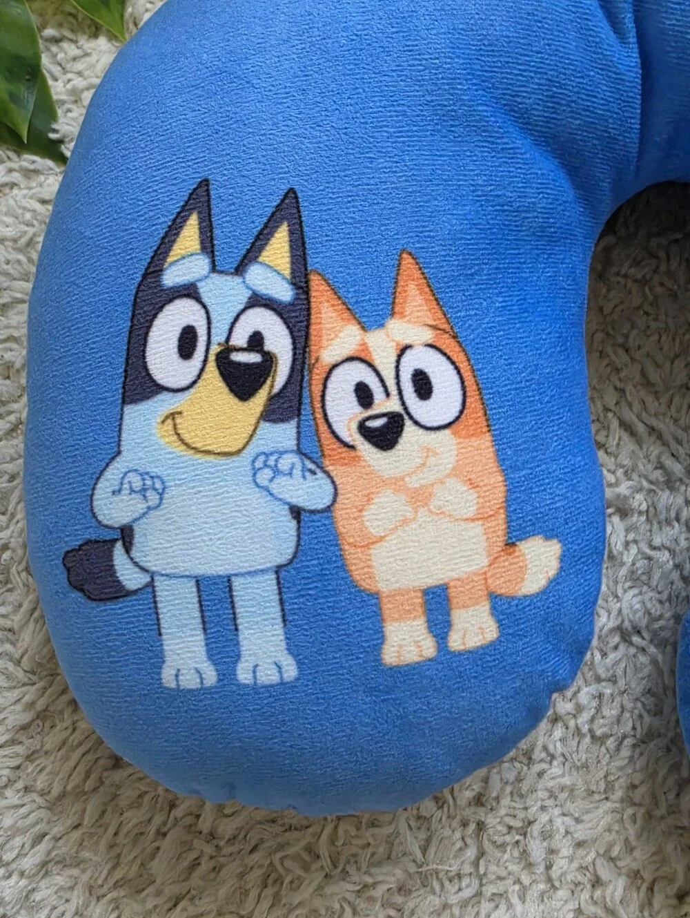 Bluey bnwot tag